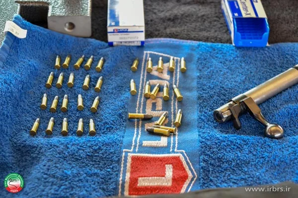 Rimfire 22 LR